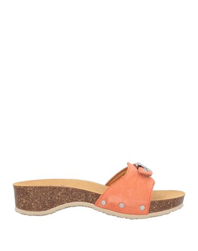 Scholl Woman Mules & Clogs Coral Size 8 Leather In Red