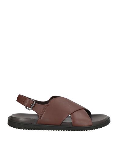 Cerruti 1881 Man Sandals Chocolate Brown Size 9 Leather In Brown