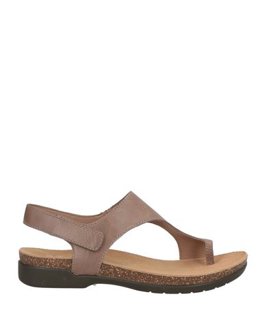 Dansko Woman Thong Sandal Khaki Size 7 Leather In Multi