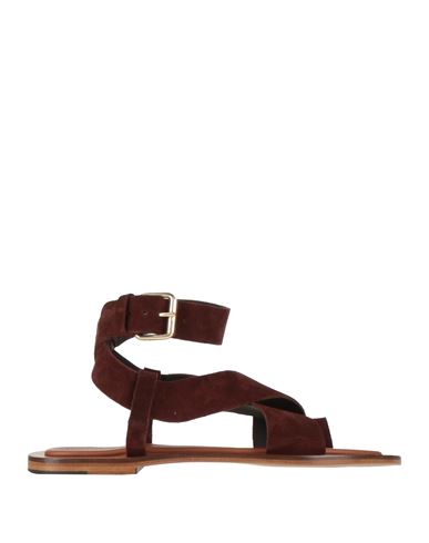 Mansur Gavriel Woman Thong Sandal Chocolate Brown Size 8 Leather In Brown