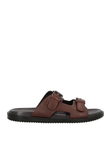 Sandalias Hombre Marrón 43 Hombre
