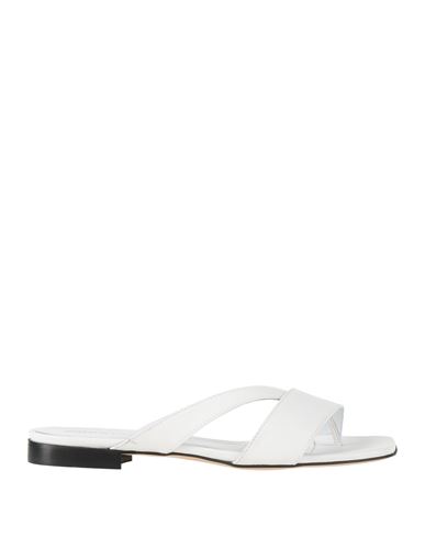 Bervicato Woman Thong Sandal White Size 8 Leather