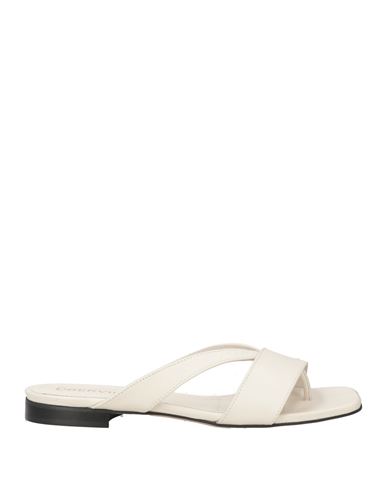 Bervicato Woman Thong Sandal Off White Size 8 Leather