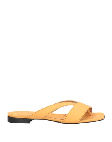 Bervicato Woman Thong Sandal Orange Size 8 Calfskin