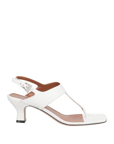 Paris Texas Woman Thong Sandal White Size 8 Leather In White