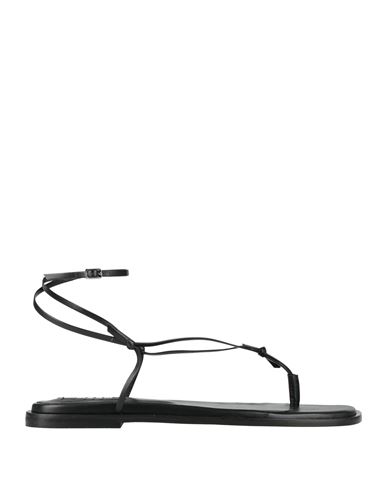 Msgm Woman Thong Sandal Black Size 5 Leather