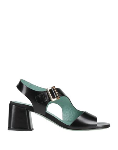 Paola D'arcano Woman Sandals Black Size 8 Leather