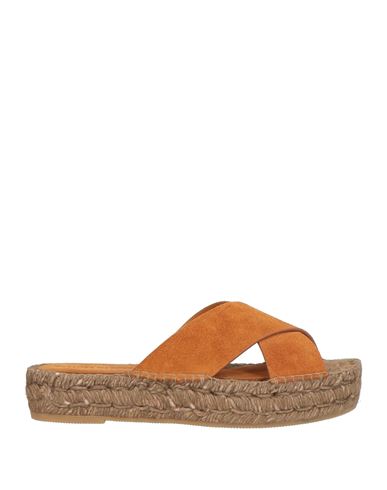 Paloma Barceló Woman Espadrilles Camel Size 8 Leather In Brown