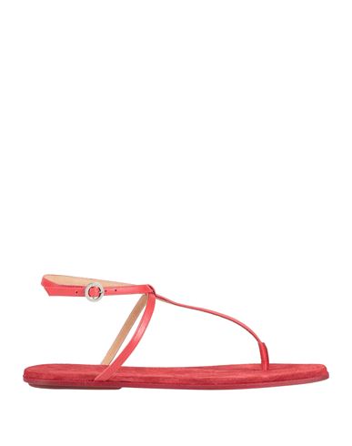 Marsèll Woman Thong Sandal Red Size 8 Calfskin