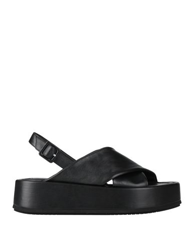 Paloma Barceló Woman Sandals Black Size 8 Calfskin In Animal Print