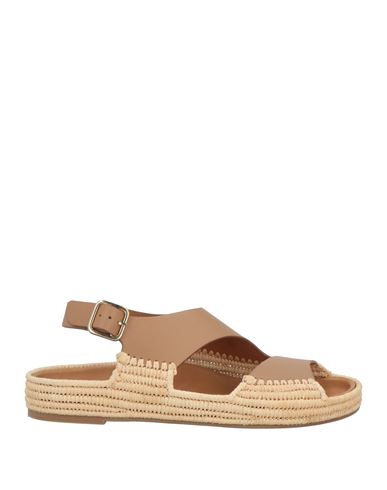 Paloma Barceló Woman Sandals Brown Size 9 Cow Leather, Synthetic Fibers