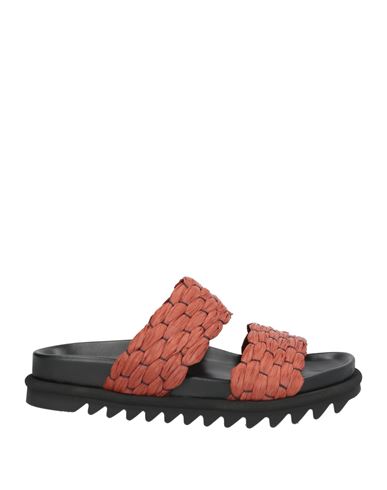 Sandalias Mujer Marrón 38,39,40 Mujer