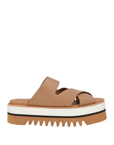 Sandalias Mujer Camel 36,37,38,39,40,41 Mujer