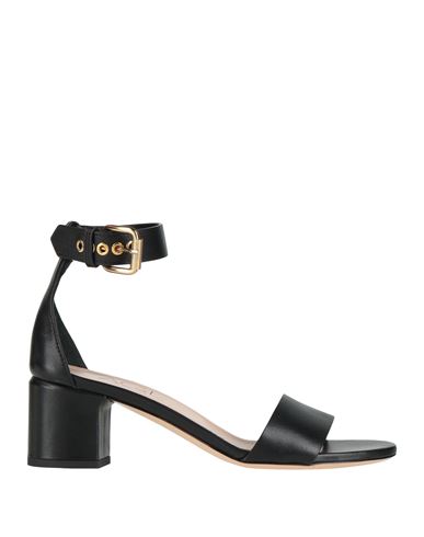 Sandalias Mujer Negro 36,36.5,37.5 Mujer