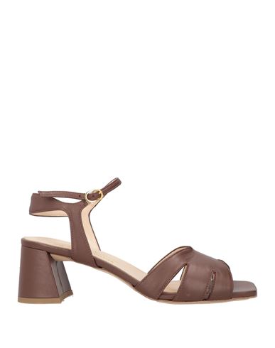Sandale Damen Dunkelbraun 36,37,38,39,40,41 Damen