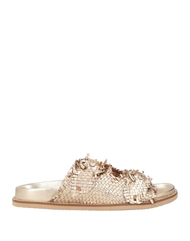 Sandalias Mujer Oro 35,36,37,38,39,40,41 Mujer