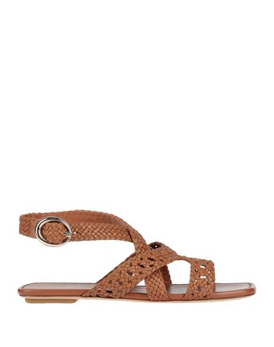 Sandalias Mujer Marrón 36,37,37.5,38.5,39 Mujer