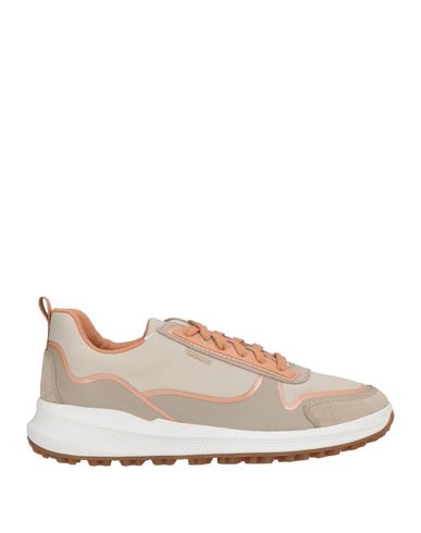 Sneakers Mujer Arena 36,37,41 Mujer