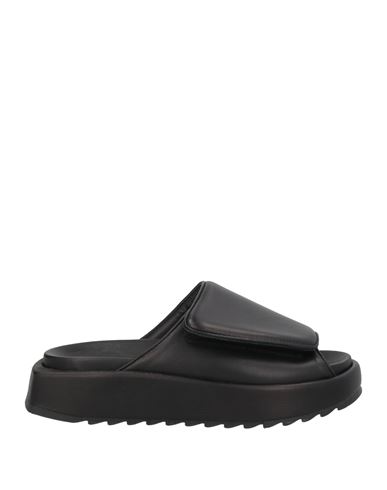 Sandalias Mujer Negro 35,36,36.5,38 Mujer