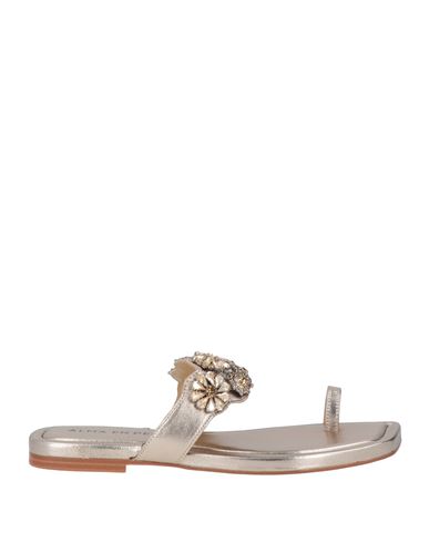 Sandalias de dedo Mujer Bronce 36,37,38,39,40,41,42 Mujer