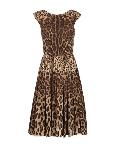 Shop Dolce & Gabbana Woman Midi Dress Dark Brown Size 2 Cotton, Elastane