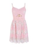 FOXIEDOX Damen Kurzes Kleid Farbe Rosa Gr��e 6