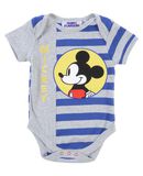 FABRIC FLAVOURS Jungen 0-24 monate Body Farbe Grau Gr��e 6