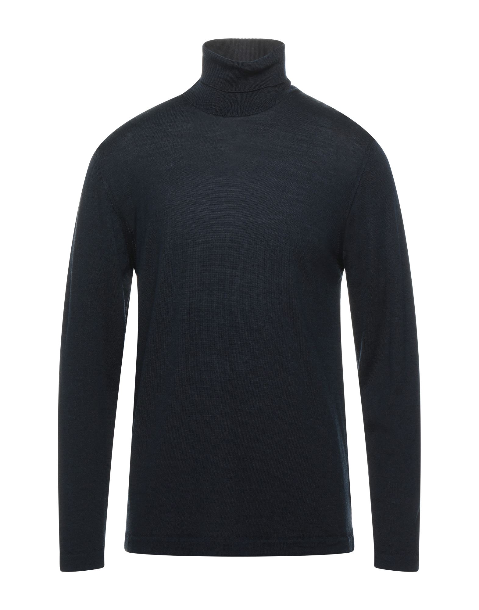 Daniele Fiesoli Turtlenecks In Blue