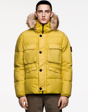 Down Jacket Stone Island Men - Official 