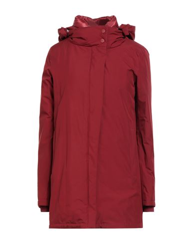 Herno Laminar Woman Coat Burgundy Size 6 Polyester, Ptfe - Polytetrafluoroethylene In Burgundy