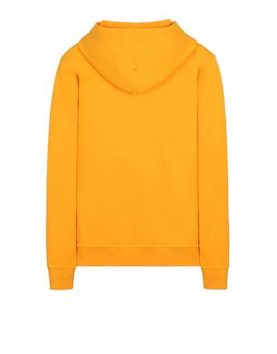 Mustard stone cheap island sweatshirt