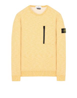 Sweatshirt Stone Island Men - Official Store