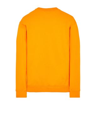 Sweatshirt Stone Island Men Official Store