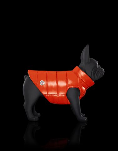 moncler dog moncler dog