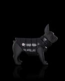 MONCLER MONDOG - Dogwear - Unisex