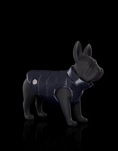 moncler dog moncler dog