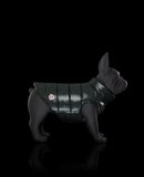 MONCLER MONDOG - Ropa para perros - Unisex