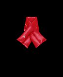 MONCLER SCARF - Scarves - women