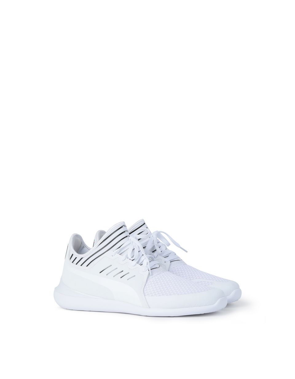 puma sf evo cat