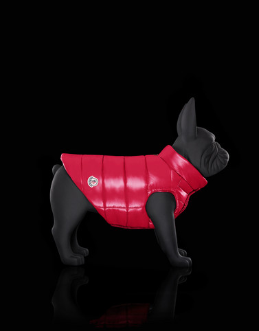 MONCLER MONDOG - 宠物狗服装 - Unisex