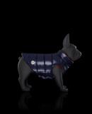 MONCLER MONDOG - ドッグウェア - Unisex