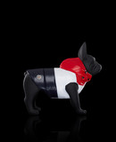 MONCLER MONDOG - ドッグウェア - Unisex