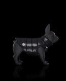 MONCLER MONDOG - Dogwear - Unisex