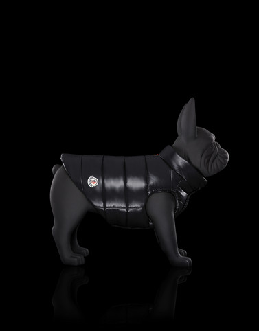 MONCLER MONDOG - Dogwear - Unisex