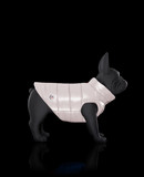 MONCLER MONDOG - ドッグウェア - Unisex