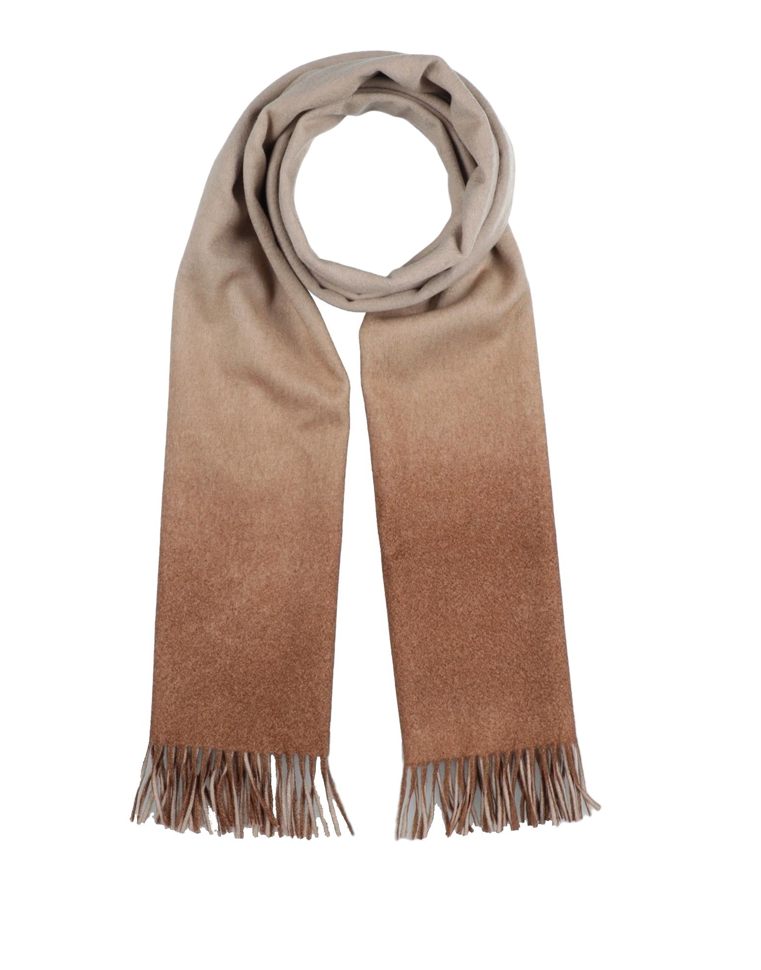 Arte Cashmere Scarves In Brown