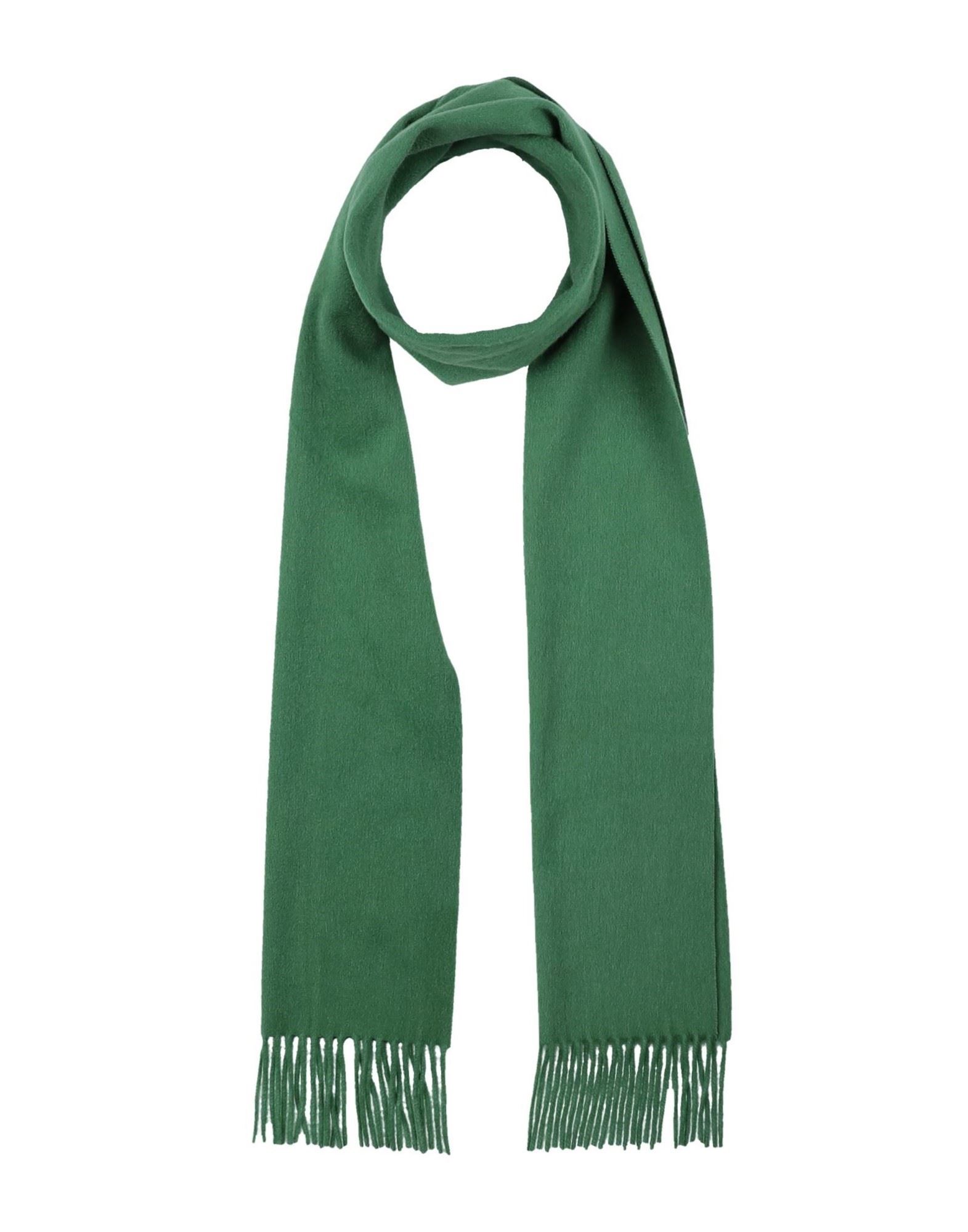 Arte Cashmere Scarves In Green