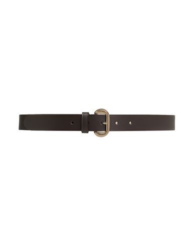 8 By Yoox Leather Belt Woman Belt Dark Brown Size Xxl Bovine Leather
