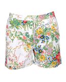 DAVID Boxer da mare uomo