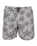 ANERKJENDT Boxer da mare uomo
